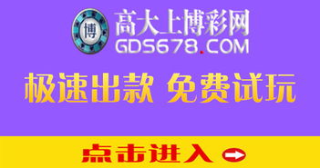 新2代理开户软件开发 高效安全的在线博彩平台解决方案