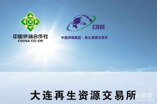 大连再生诚招代理与会员——携手共创财富未来